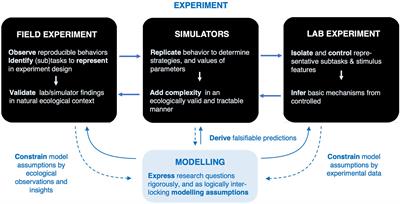 Gaze Strategies in Driving–An Ecological Approach